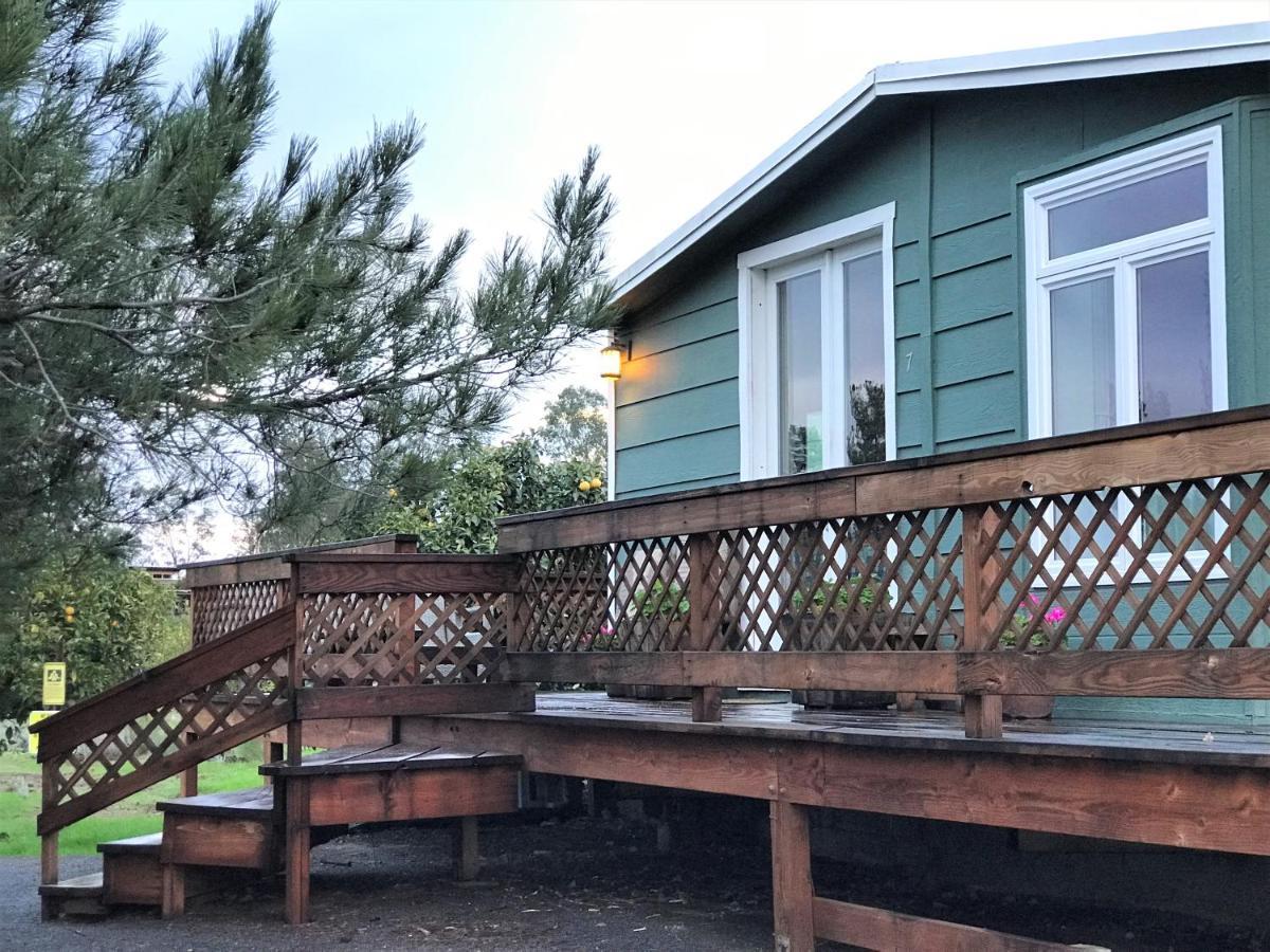 Casa Mayoral B&B Pet Friendly Valle de Guadalupe Dış mekan fotoğraf