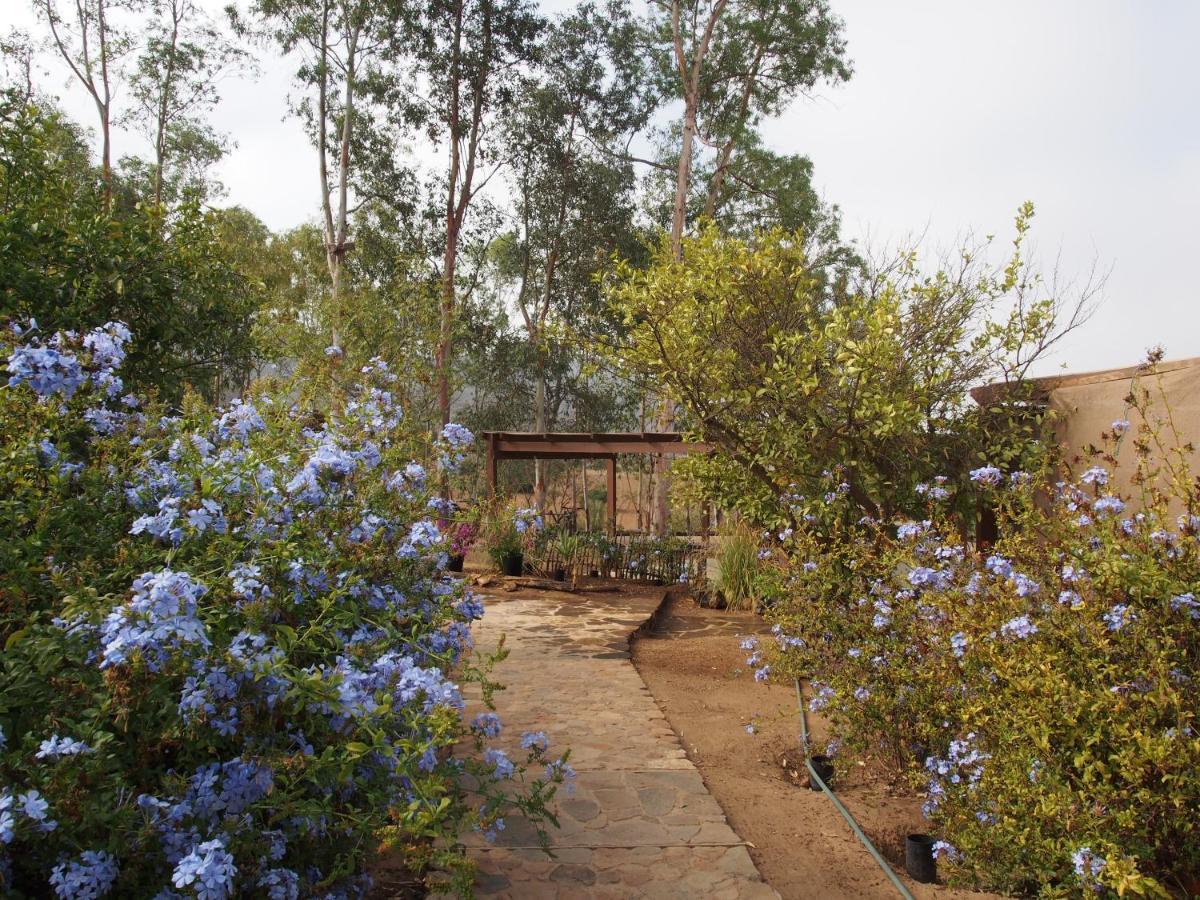 Casa Mayoral B&B Pet Friendly Valle de Guadalupe Dış mekan fotoğraf