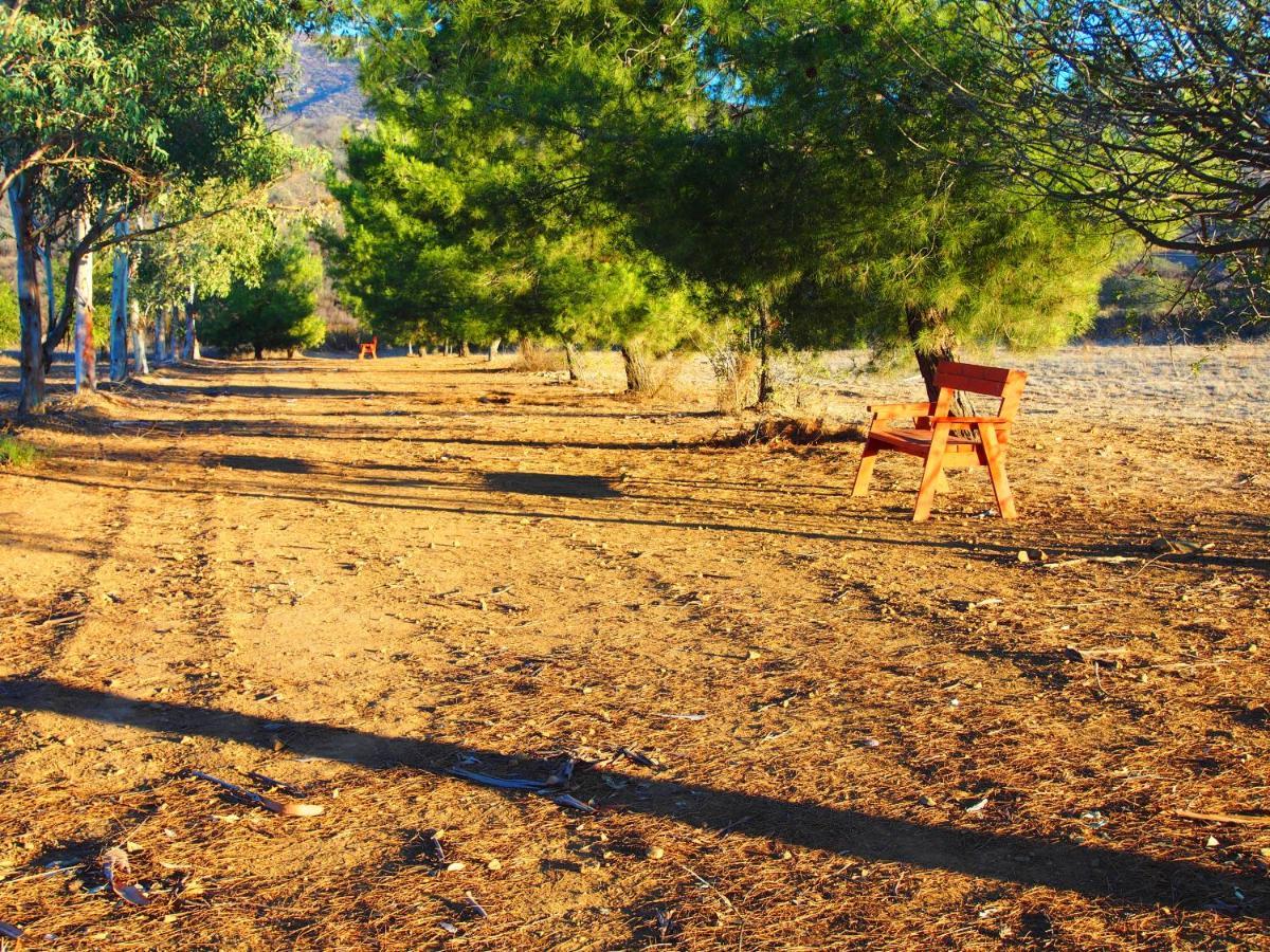 Casa Mayoral B&B Pet Friendly Valle de Guadalupe Dış mekan fotoğraf