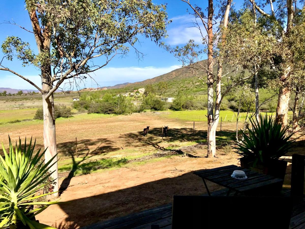 Casa Mayoral B&B Pet Friendly Valle de Guadalupe Dış mekan fotoğraf